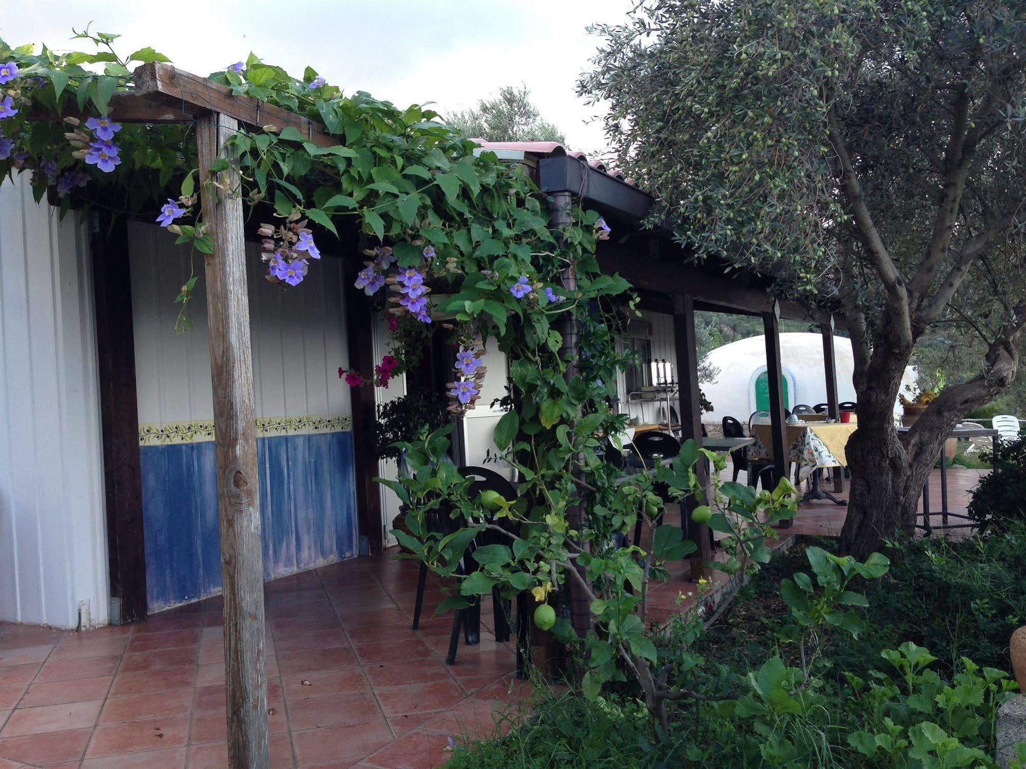 Maison d'hôtes Giardino Di Sicilia à SantʼAgata di Militello Extérieur photo
