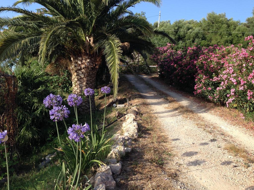 Maison d'hôtes Giardino Di Sicilia à SantʼAgata di Militello Extérieur photo